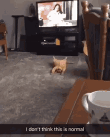 I Dont Think This Is Normal Sleeping GIF - I Dont Think This Is Normal Sleeping Napping GIFs