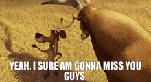 Open Season Elliot GIF
