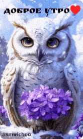 a white owl holding purple flowers with a red heart in the background