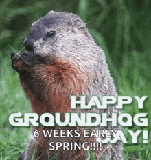 Happy Groundhog Day GIF - Happy Groundhog Day Groundhog Day GIFs