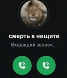 a phone screen with a picture of a lion and the words " смерть в нищите "