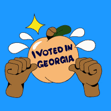 Georgia Vote GIF - Georgia Vote Georgian GIFs