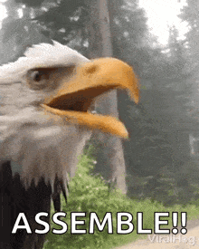 a bald eagle with its beak open and the words assemble behind it