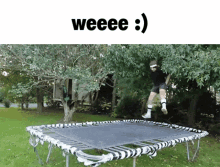 Weee Happy GIF - Weee Happy Trampoline GIFs