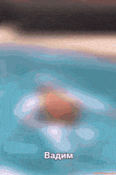a picture of a person swimming in a pool with the name vadim written on it