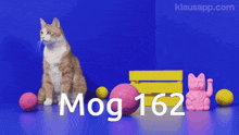 Mogcat 162 GIF - Mogcat Mog 162 GIFs