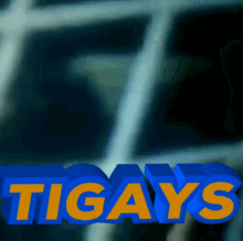 Tygays GIF - Tygays GIFs