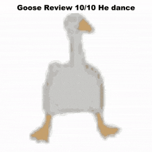 Goose Review Gos GIF - Goose Review Gos Goose Dance GIFs