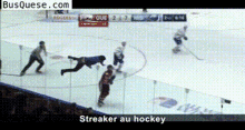 crazy fan hockey fans streaker au hockey break into rink slip