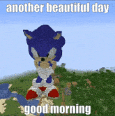 Sonic Good Morning GIF - Sonic Good Morning Dance GIFs