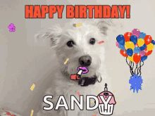 Dog Saying Happy Birthday GIFs | Tenor