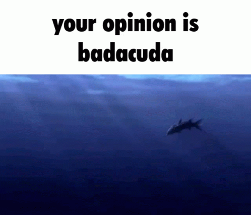 barracuda-your-opinion.gif