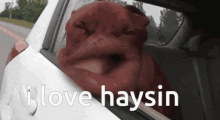 Haysin GIF - Haysin GIFs