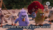 Angry Birds Angry Birds Movie GIF - Angry Birds Angry Birds Movie Angry Birds Nation GIFs