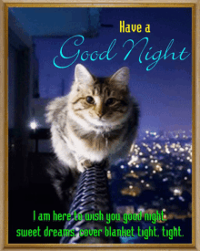 Goodnight Sleep Tight GIF - Goodnight Night Sleep Tight GIFs