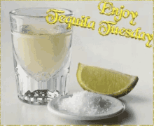 Tequila Sour Tequila Tuesday GIF