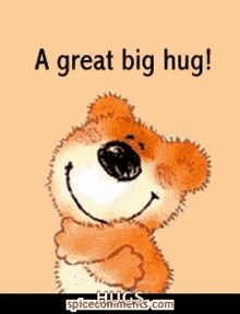 Bear Hug Love GIF - Bear Hug Love Huggable GIFs