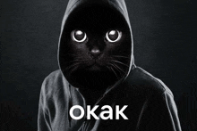 a black cat wearing a hoodie with the word okak in white