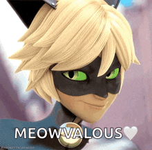 Miraculous Tales Of Ladybug And Cat Noir GIF - Miraculous Tales Of Ladybug And Cat Noir Talking GIFs