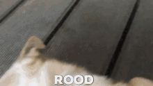 Dog Rood GIF - Dog Rood Happy GIFs