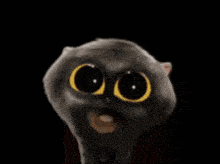 a cartoon cat with yellow eyes is standing in a spotlight