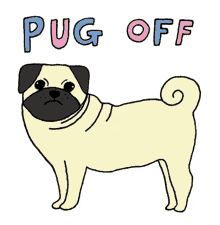 Pug Off Pug GIF - Pug Off Pug Dogs GIFs