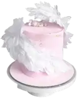 a pink cake with white feathers and a baby sleeping on it
