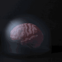 a brain is shown in a dark room with a light shining on it