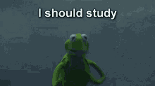 who study