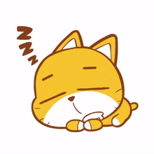 animal kitty cat cute sleep