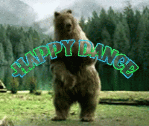 Happy Dance Bear GIF - Happy Dance Bear Dance - Discover & Share GIFs