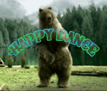 Happy Dance Bear GIF - Happy Dance Bear Dance GIFs