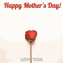 a heart made out of red rose petals with the words `` happy mother 's day ! love you ! ''