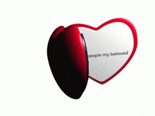 a heart shaped mirror with a picture of a cat and the words " not gay people my beloved "