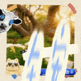 a picture of a cow and a cat with the letters gm in the middle