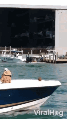 Yacht Vacation GIF - Yacht Vacation Boat GIFs