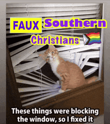 a picture of a cat looking out a window with the words " faux southern christians " above it