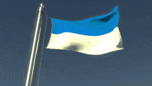 a blue and white flag flies in the wind