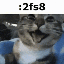 Cat Car GIF - Cat Car Cat Smile GIFs