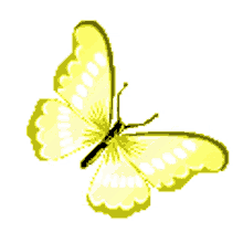 yellow butterfly