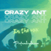 Profound Profoundradio GIF - Profound Profoundradio Crazy Ant GIFs