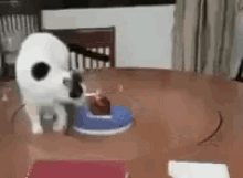 Cat Round Table GIF - Cat Round Table Exercise GIFs