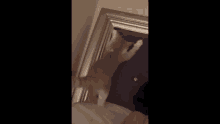 a kitten is standing on its hind legs on a door .