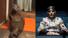 a seal and a man in a polka dot suit