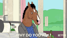 why do you ask why are you asking suspicious what do you want bojack