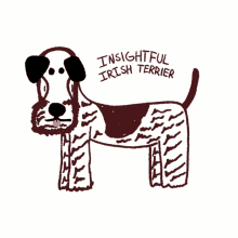terrier insightful