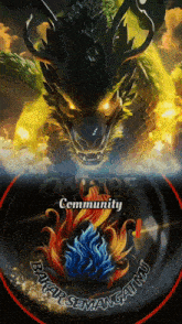 a picture of a dragon with the words community written on it