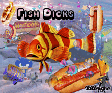 Fish Fish Dicks GIF - Fish Fish Dicks Blingee GIFs