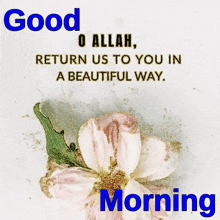 Allah Good Morning GIF - Allah Good Morning GIFs