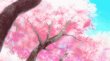 Flowers Pinks GIF - Flowers Pinks Petals GIFs